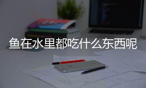 魚(yú)在水里都吃什么東西呢？魚(yú)在水中吃什么東西