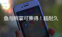 魚與熊掌可兼得！超耐久性高效鈣鈦礦太陽能電池品鑒 – 材料牛