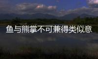 魚與熊掌不可兼得類似意思的句子（魚與熊掌不可兼得）
