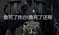 魚死了咋辦(魚死了還有救嗎)