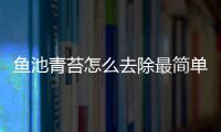 魚池青苔怎么去除最簡單方法（魚池）