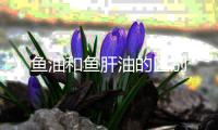 魚油和魚肝油的區別