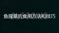 魚腥草的食用方法和技巧