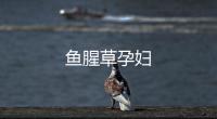 魚腥草孕婦