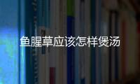 魚腥草應該怎樣煲湯