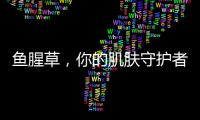 魚腥草，你的肌膚守護者
