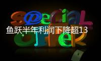魚躍半年利潤下降超13% 原因公布