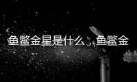 魚鱉金星是什么，魚鱉金星的養(yǎng)殖技巧和注意事項(xiàng)