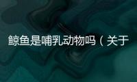 鯨魚是哺乳動物嗎（關于鯨魚是哺乳動物嗎的基本情況說明介紹）
