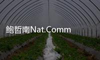 鮑哲南Nat.Commun.：如橡皮筋般的可逆彈性多功能有機半導體 – 材料牛