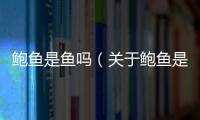 鮑魚是魚嗎（關(guān)于鮑魚是魚嗎的基本情況說(shuō)明介紹）