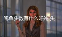 鮑魚頭數有什么好處 頭數代表質量好壞