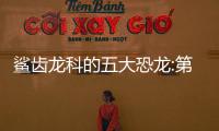 鯊齒龍科的五大恐龍:第一最長14.5米(被稱第四大肉食龍)
