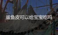 鯊魚皮可以給寶寶吃嗎