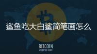 鯊魚吃大白鯊簡筆畫怎么畫  怎么畫鯊魚吃大白鯊簡筆畫