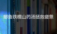 鯽魚鐵棍山藥湯拯救疲憊身心，重塑健康能量！