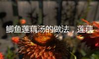 鯽魚蓮藕湯的做法，蓮藕湯的做法