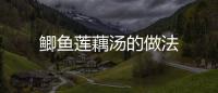 鯽魚蓮藕湯的做法