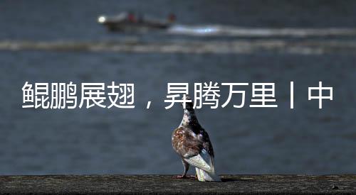 鯤鵬展翅，昇騰萬里丨中科視語成為華為認(rèn)證級ISV合作伙伴！