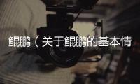 鯤鵬（關于鯤鵬的基本情況說明介紹）