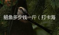 鯧魚多少錢一斤（打卡海泊河早市海鮮區）
