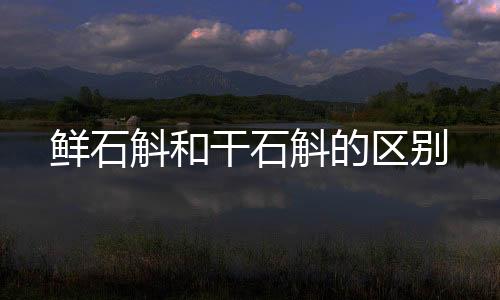 鮮石斛和干石斛的區別