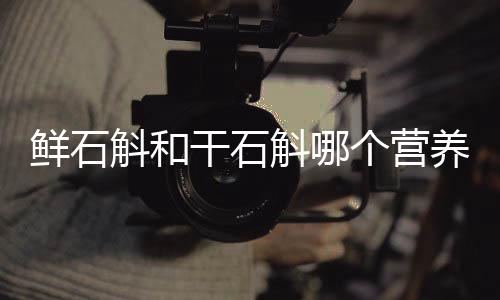 鮮石斛和干石斛哪個營養(yǎng)更好