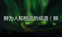鮮為人知相近的成語（鮮為人知）