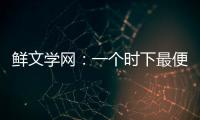 鮮文學網：一個時下最便捷的小說閱讀平臺【科技】風尚中國網