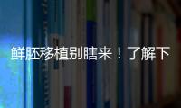 鮮胚移植別瞎來！了解下高齡、試管反復失敗放幾個好