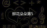 鮮花朵朵第5