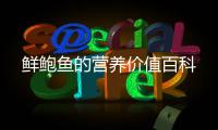 鮮鮑魚(yú)的營(yíng)養(yǎng)價(jià)值百科