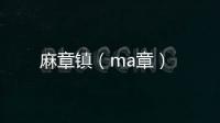 麻章鎮（ma章）