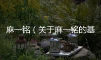 麻一銘（關于麻一銘的基本情況說明介紹）