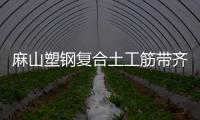 麻山塑鋼復(fù)合土工筋帶齊全