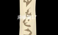麻雀第17