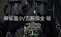 麻雀雖小/五臟俱全 哈弗H4藍標實拍體驗