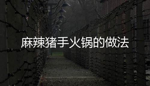 麻辣豬手火鍋的做法