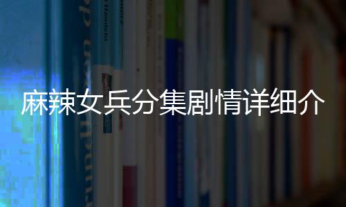 麻辣女兵分集劇情詳細介紹第27集