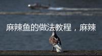 麻辣魚的做法教程，麻辣魚的做法