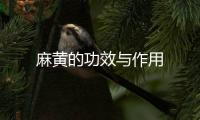 麻黃的功效與作用
