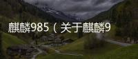 麒麟985（關于麒麟985的基本情況說明介紹）