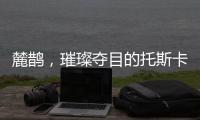 麓鵲，璀璨奪目的托斯卡納新星