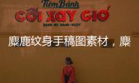 麋鹿紋身手稿圖素材，麋鹿紋身有什么含義