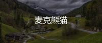 麥克熊貓