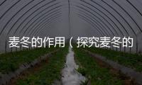 麥冬的作用（探究麥冬的藥用價值）