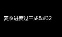 麥收進度過三成 “三夏”大規模小麥機收全面展開