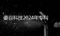 麥谷科技2024年專利成果豐收