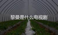 黎曼是什么電視劇