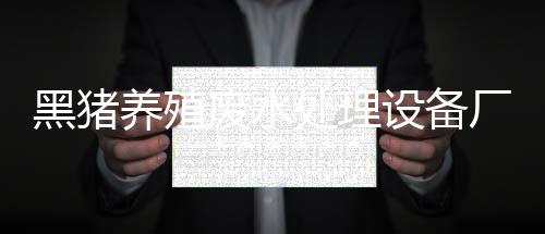 黑豬養殖廢水處理設備廠家